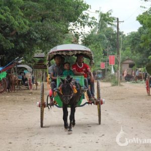 AVA Horse Cart