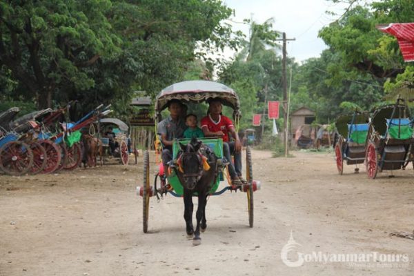 AVA Horse Cart