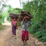 Burmese ladies taking wood to home from jungle