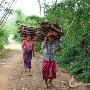 Burmese ladies taking wood to home from jungle