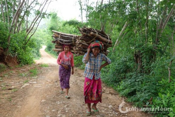 Burmese ladies taking wood to home from jungle