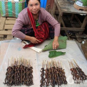 Burmese lady selling dried ills