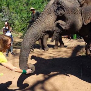 Elephant Sanctuary in Myanmar