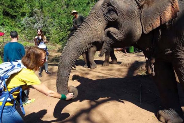 Elephant Sanctuary in Myanmar