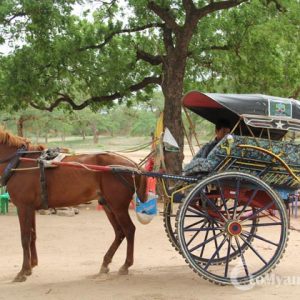 Horse Carts