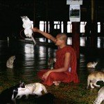 Monk in Jumping Cat Monastery