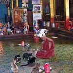 Visitors exciting watching Jumping Cat in Ngaphechaung Monastery.