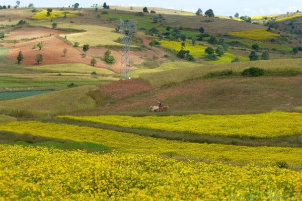 kalaw stunnding landscape