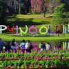 mandalay tour to pyin oo lwin