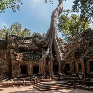 Ta Prohm temple