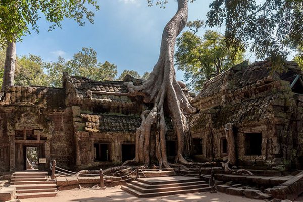 Ta Prohm temple