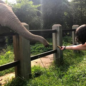 Tourists in Phnom Tamao Wildlife Sanctuary