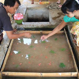 the traditional paper making in Pindaya