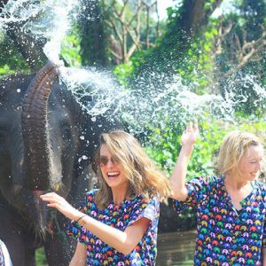 tourists play with the elephant in Kanta elephant sanctuary