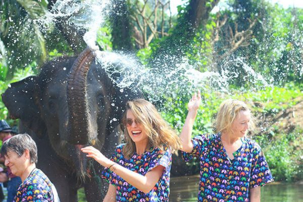 tourists play with the elephant in Kanta elephant sanctuary
