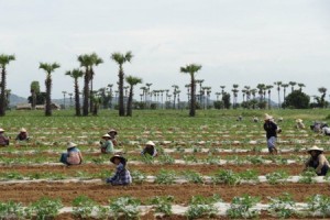 Myanmar Weather in September