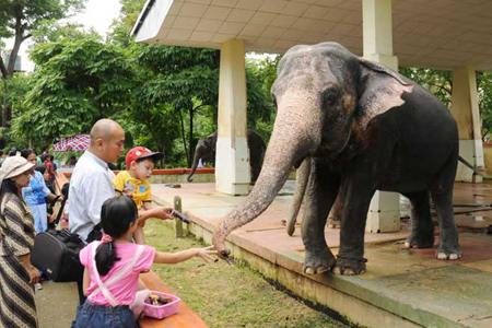 Yangon Zoological Garden Yangon Myanmar