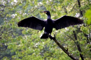 Ecotourism in Myanmar