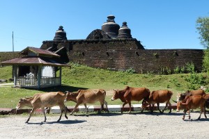 Htukkanthein Temple, Mrauk U