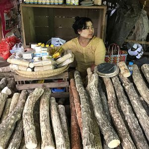 a tanaka stall at Nyaung u market