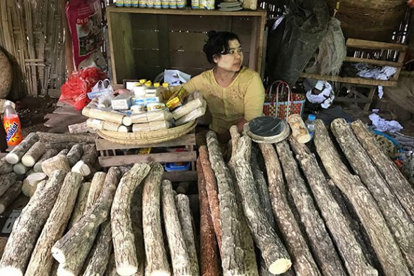 a tanaka stall at Nyaung u market