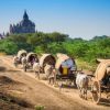 Taking horse carriage in Bagan tours