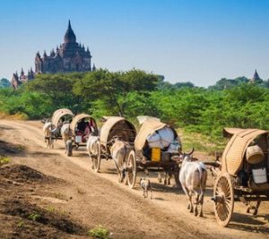 Taking horse carriage in Bagan tours