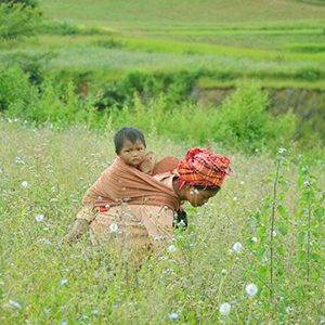 Inle lake trekking tour