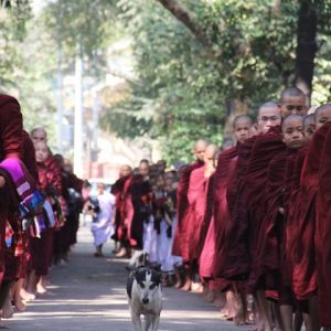 Monks in queue, morning ceremony in Mahagandaryone Monastery