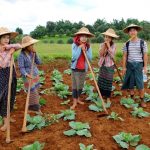 Trekking from Kalaw to Inle to see the cultural identity of Myanmar