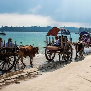 Buffalo and horse cart along the Ngapali beach