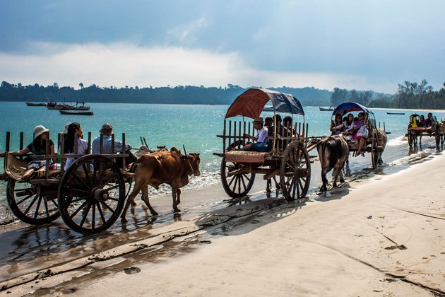 Buffalo and horse cart along the Ngapali beach