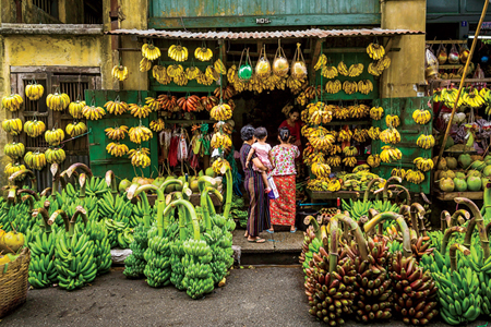 Banana Shop in Yangon