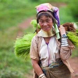 Hill tribal lady with long neck after field time in Loikaw