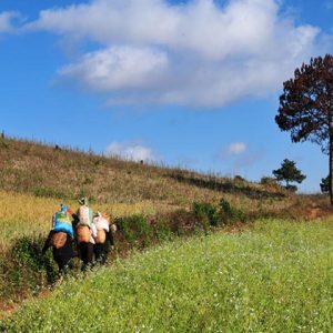 Pindaya Trekking