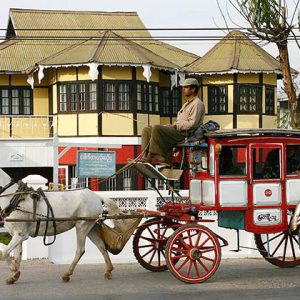 Pyin Oo Lwin horse cart
