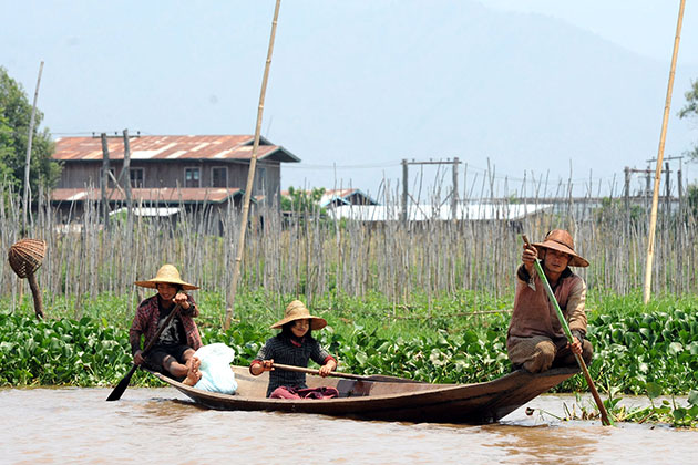 Unique ecosystem in Inle Lake - Myanmar