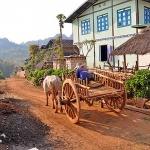 Trekking through the hill village of Kalaw in Myanmar itinerary 7 days