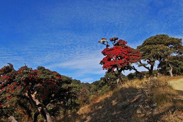 Discover the Nat Ma Taung National Park