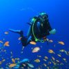 Diving in Myeik archipelago