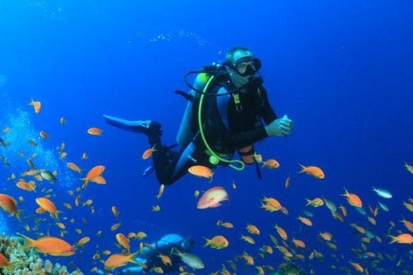 Diving in Myeik archipelago