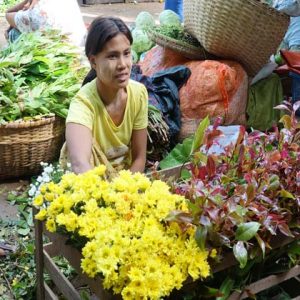 A Burmese woman in Nyaung U Market