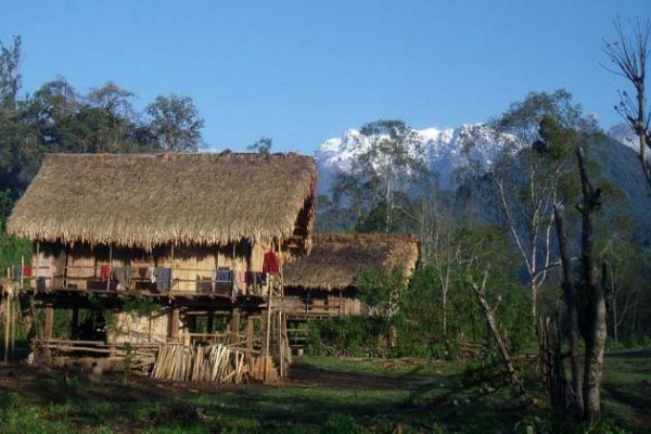 A small village in Putao