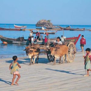 horse carriage in Ngapali Beach