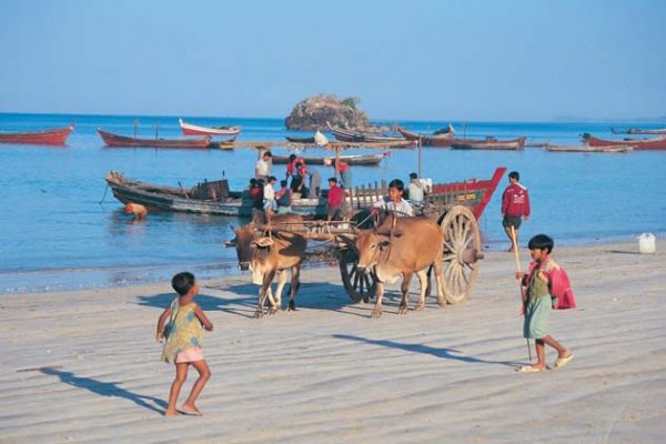 horse carriage in Ngapali Beach