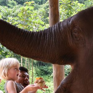 kids playing with the elephant in Magway elephant camp