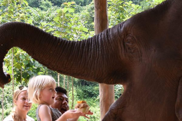 kids playing with the elephant in Magway elephant camp