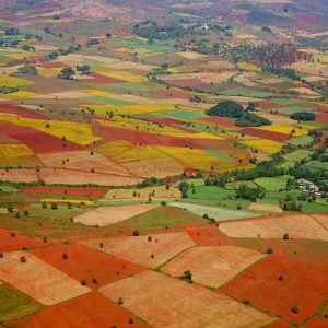 the colorful field in Kalaw