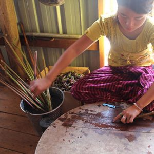 the local artisan is extracting lotus to make lotus silk