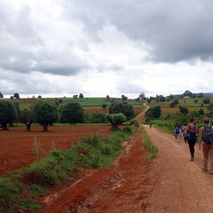 trekking through the mesmerizing landscape of kalaw